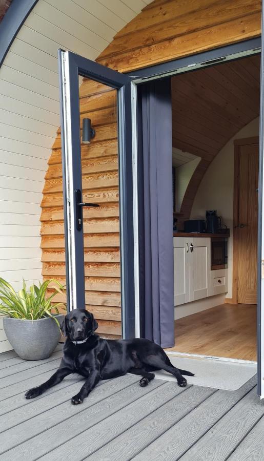 Habberley Glamping Pods Otel Shrewsbury Dış mekan fotoğraf